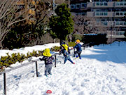 雪の日遊び