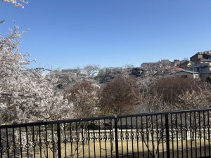 ベランダから見える風景